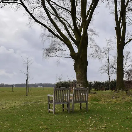 Tiny House * Eibergen